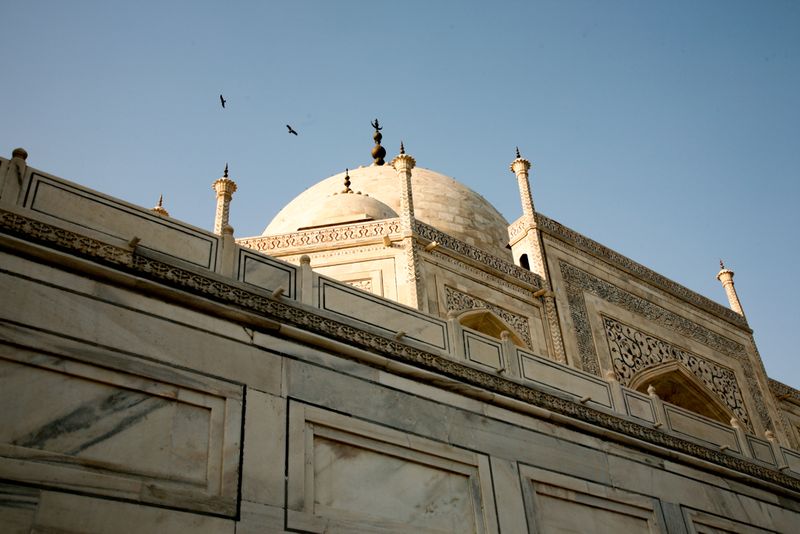 Birds above the Taj Mahal, Agra, India