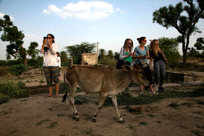 On the Outskirts of Tordi Garh, India