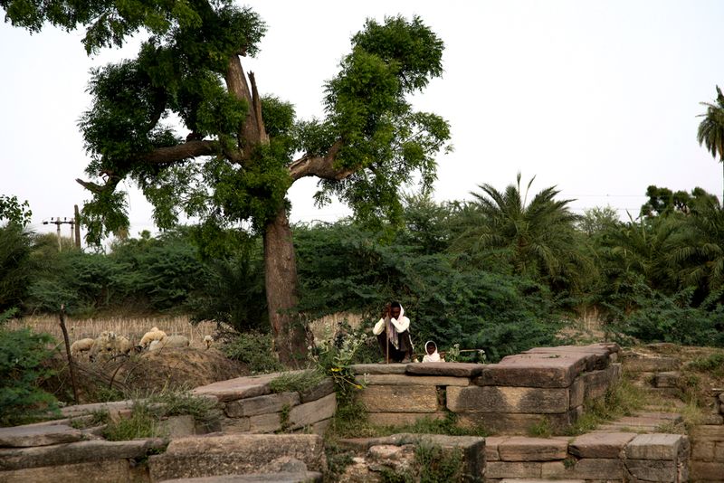 Shepherd and His Son, near Tordi Garh, India
