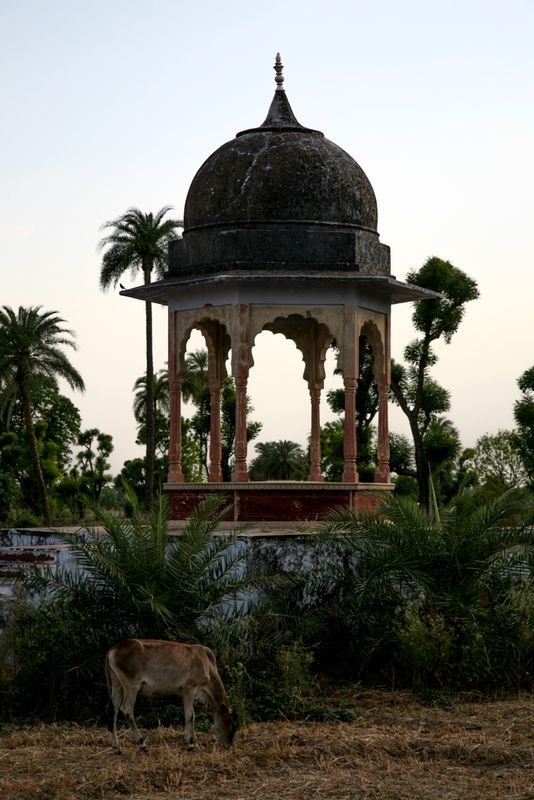Temple at Dusk, near Tordi Garh, India