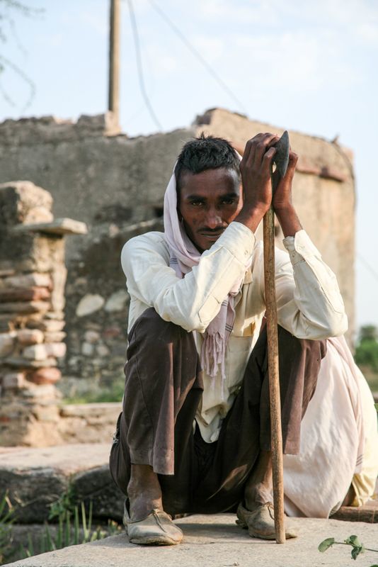 While His Sheep Graze the Dry Grass, near Tordi Garh, India