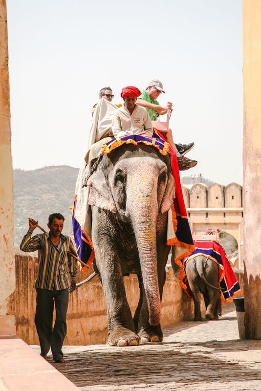 Tourists Atop Elephant, Jaipur, India