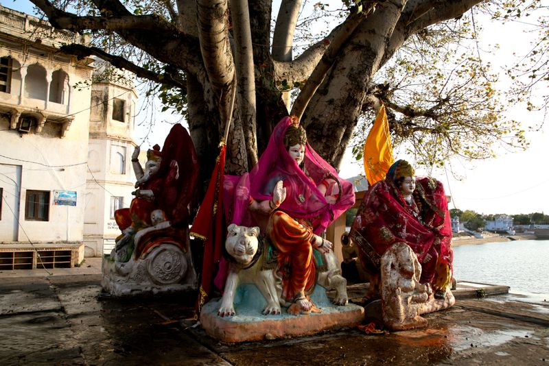 Goddesses, Pushkar, India