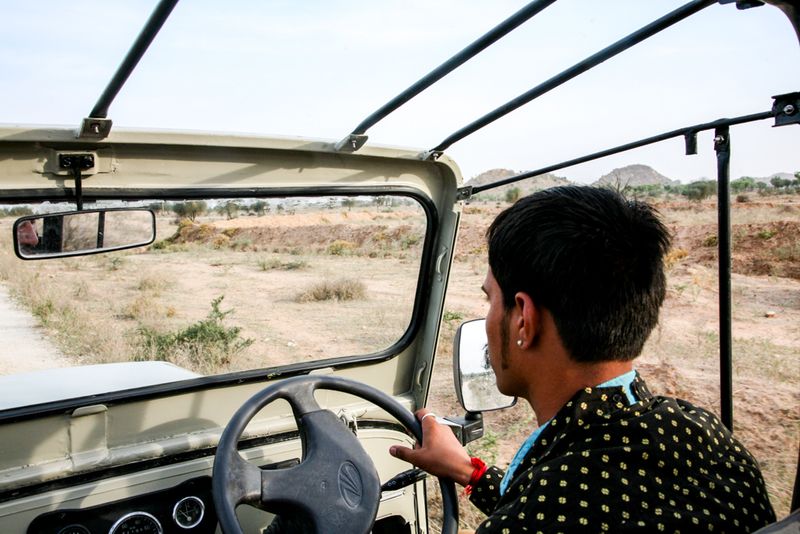 Desert Jeep Safari, around Nimaj, India