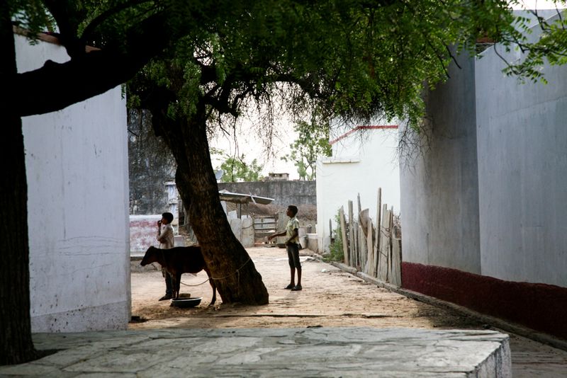 Bowlers in the Cricket Match, near Nimaj, India