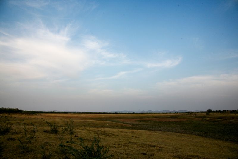 Landscape around Nimaj II, India