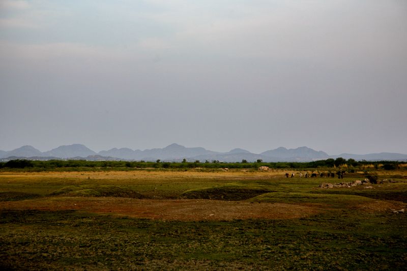 Rajasthani landscape, from near Nimaj, India
