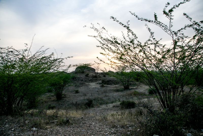 Quiet is the Desert, near Nimaj, India
