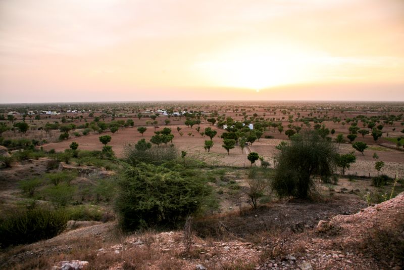 The Desert Surrounding Nimaj, India