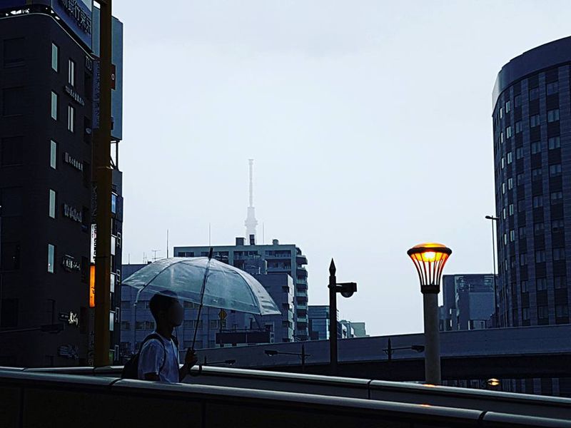Umbrella Near Ueno Station, Tokyo, Japan