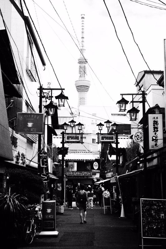 g13/64/477964/2/175326888.6d09119f.JPEG