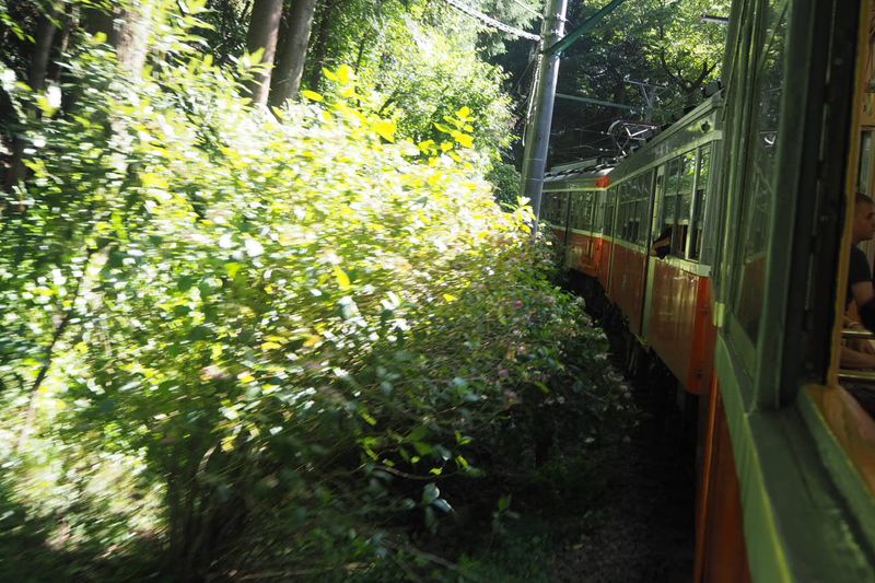 The Train to Hakone National Park, Japan