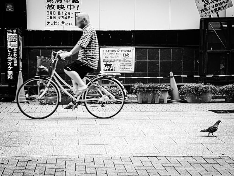 Cyclist and Pigeon, Taito City, Tokyo, Japan