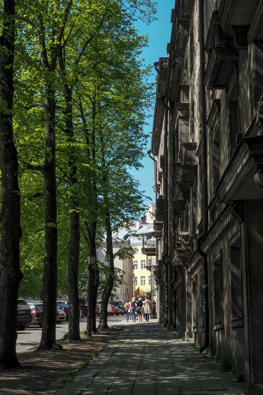Between the Trees and the Stone, Tallinn, Estonia