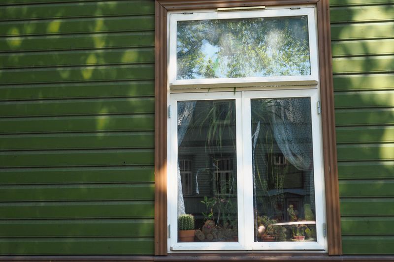 Green Green Greenery, Tallinn, Estonia