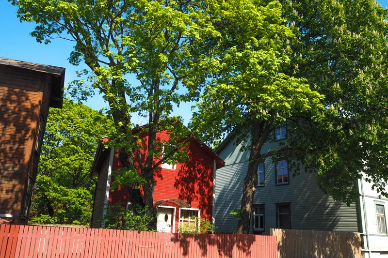Trees Framing the Red House, Tallinn, Estonia