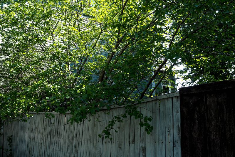 By The Sides of Houses, Tallinn, Estonia