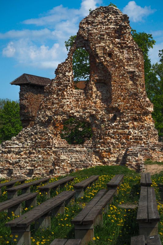 Benches Among the Dandelions, Viljanda Castle Ruins, Estonia