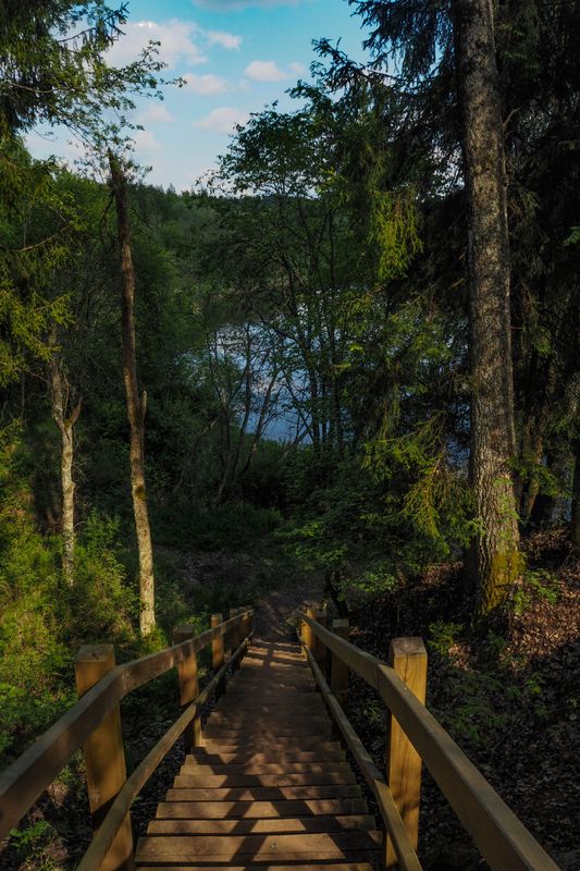 Through the Trees to the Lake, Gauja National Park, Latvia
