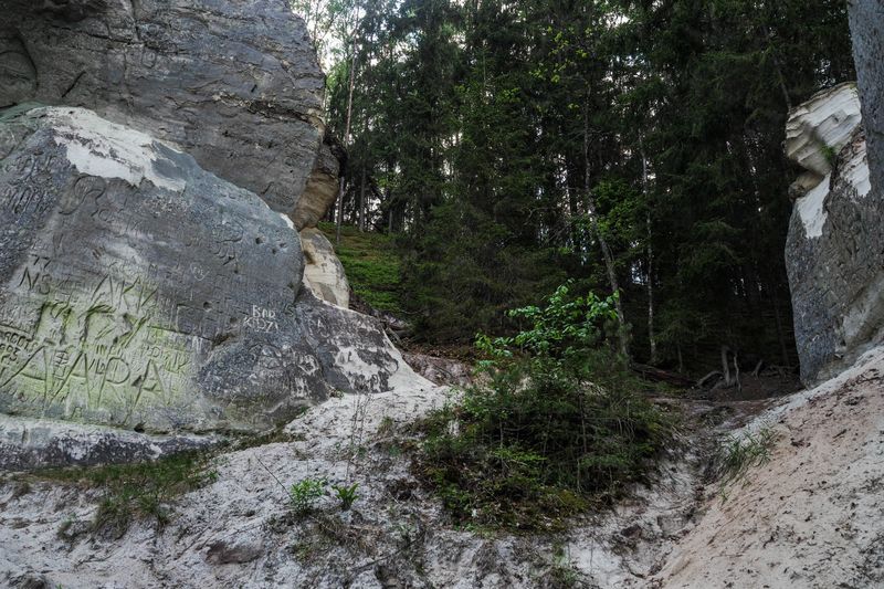 Stone Carving, Gauja National Park, Latvia