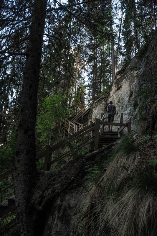 Climbing, Gauja National Park, Latvia