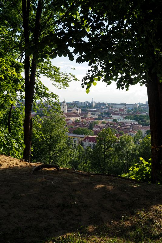 In the Shade Above Vilnius, Lithuania