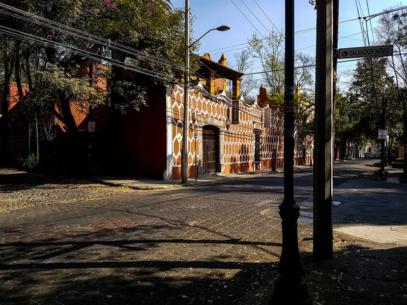 Shadowy Street in Coyoacn, Mexico City, Mexico