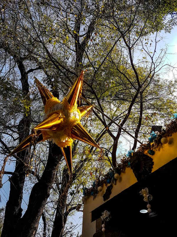 Gold Star Up For Navidad, Coyoacn, Mexico City, Mexico