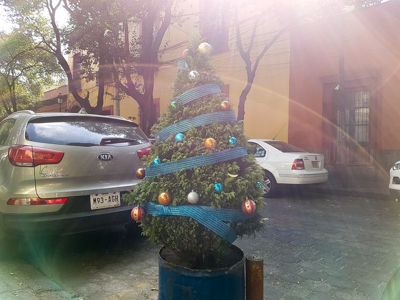 Sunshine Christmas Tree, Coyoacn, Mexico City, Mexico