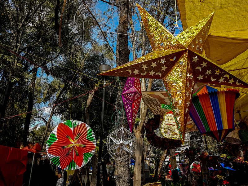 Coyoacan Christmas Markets, Mexico City, Mexico