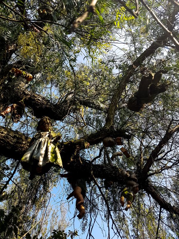 Hung in the Memory of the Girl He Saw Drowned, La Isla De Las Muecas, Xochimilco, Mexico City, Mexico