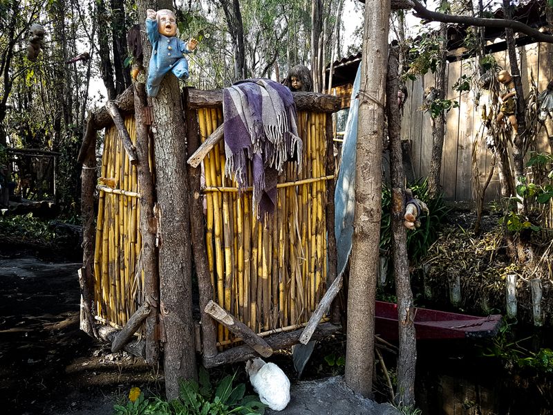 A Cat in Barrera's Garden, His Memorial of Dolls, Xochimilco, Mexico City, Mexico