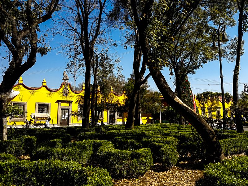 Yellow Walls in Coyoacan, Mexico City, Mexico