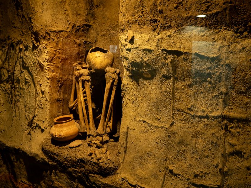 Skeleton in the Wall, Museum of Anthropology, Mexico City, Mexico