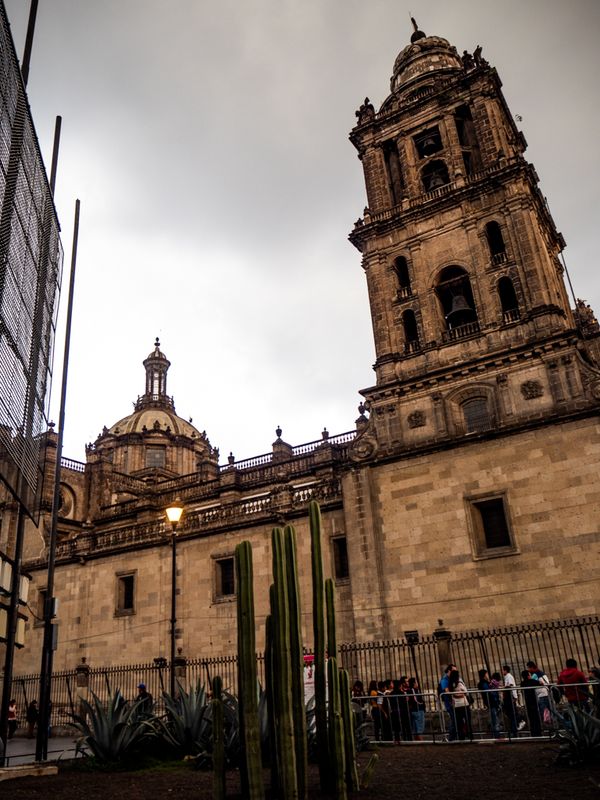 Cacti and Poles Outside the Cathedral of Mexico City, Mexico