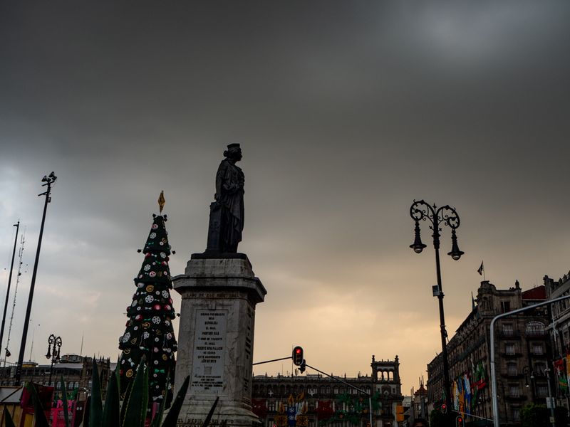 Someone Called Martinez and a Christmas Tree, Mexico City, Mexico