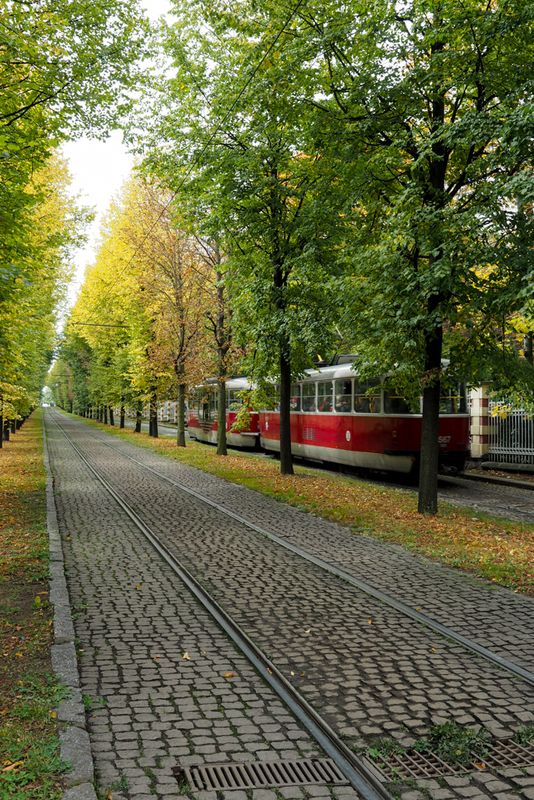 Parallel to the Tram's Track, Prague, Czechia