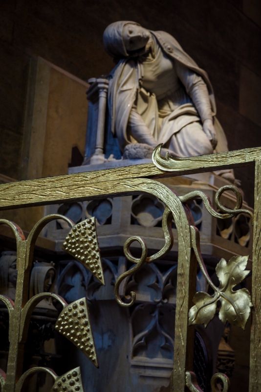 Echoes of the Railings Around Her, St Vitus Cathedral, Prague, Czechia