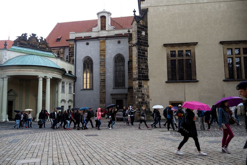 Against The Grain, Prague, Czechia