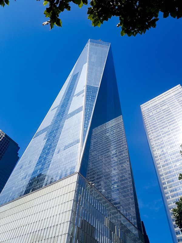 Can The Trees Grow As High, New York City, USA