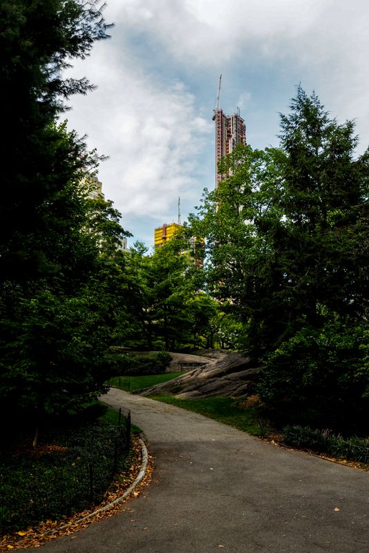 A Path Through Tranquility, Central Park, New York City, USA