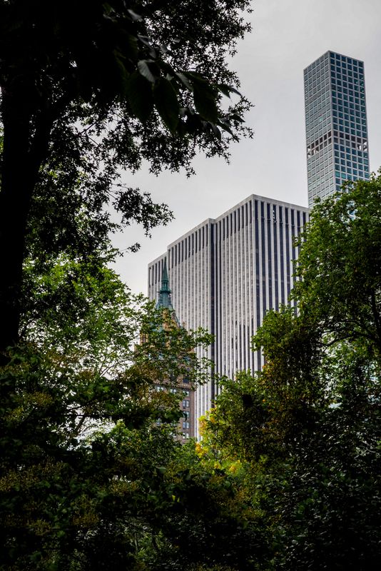 They Rise and They Rise, New York City, USA