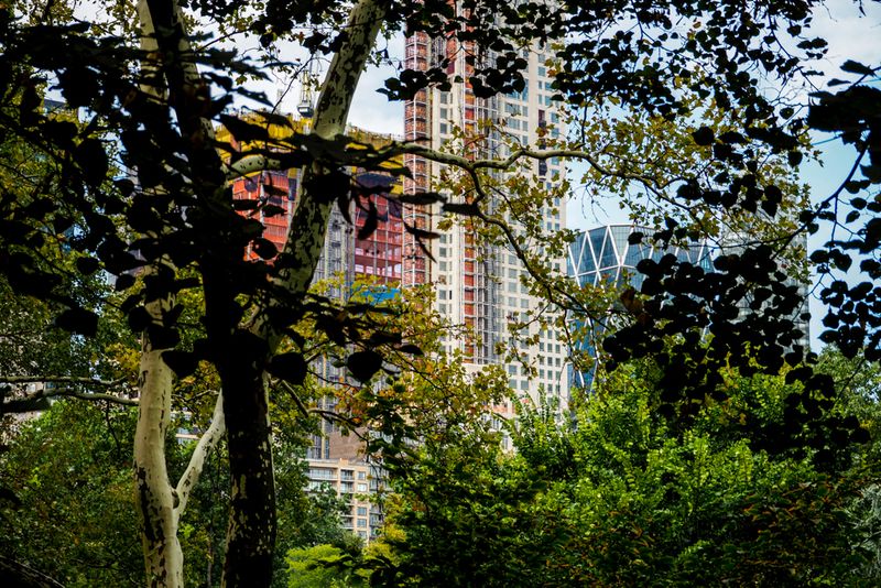 The Other Jungle, New York City, USA