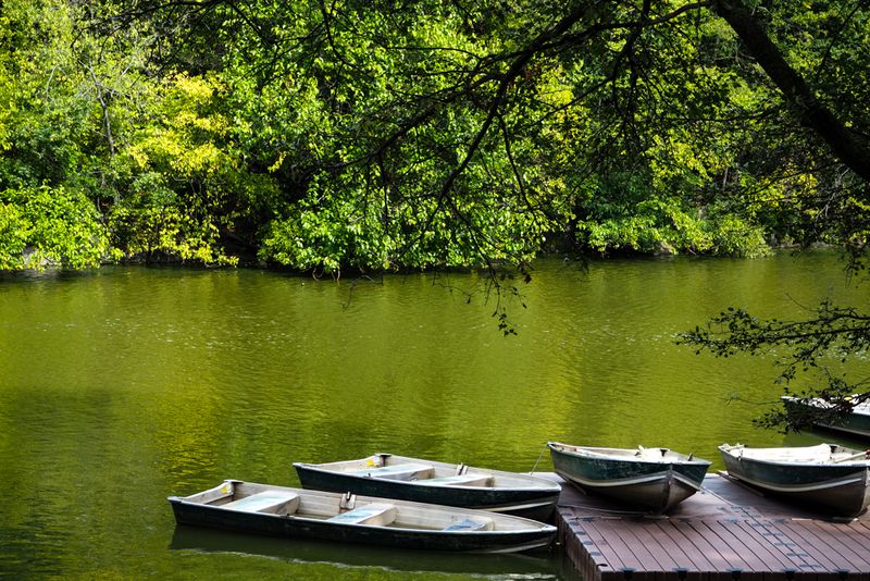 Tranquil With The Row Boats, Central Park, New York City, USA
