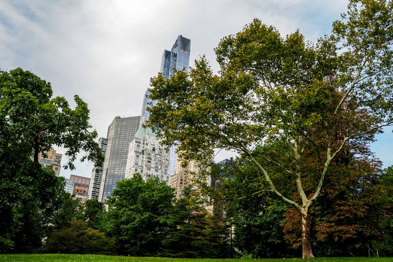A View From Central Park, New York City, USA