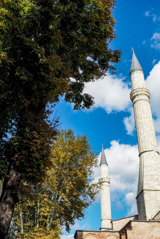Two Minarets and Trees, The Blue Mosque, Istanbul, Turkey