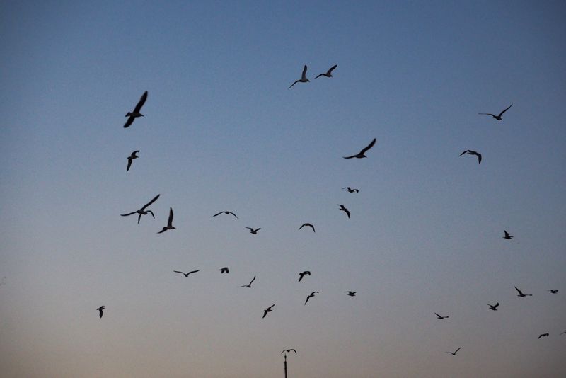 Flight Over Two Continents, To Them No Line, Istanbul, Turkey
