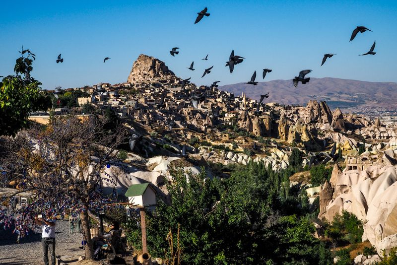 Pigeons Over The Wishing Tree, Uchisar, Cappadocia