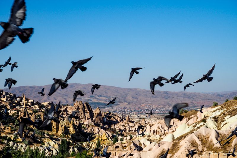 Flight Over Pigeon Valley, Uchasar, Cappadocia, Turkey