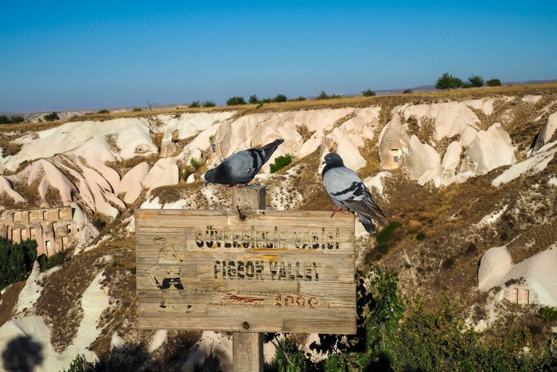 On the Lookout for a Pigeon Valley Hike, Pigeon Valley, Uchisar, Cappadocia, Turkey